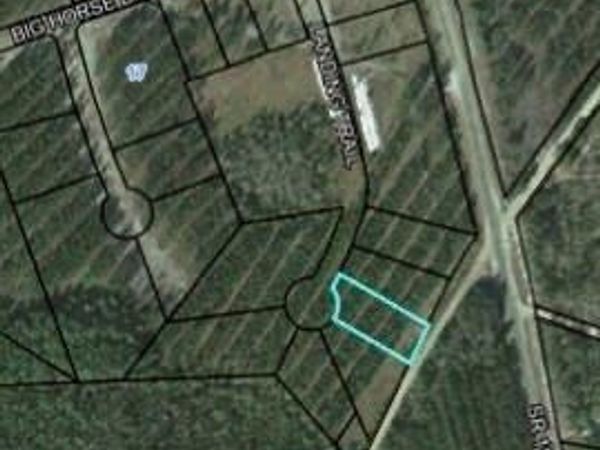 LOT 35 Landing Trail, Waynesville, GA 31566