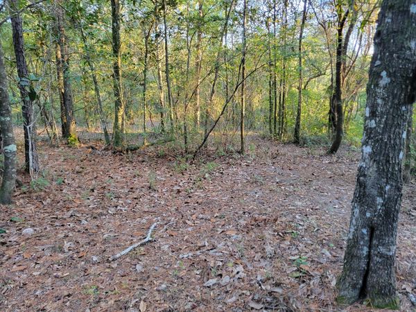 000 Hardwood Lane, Ponce De Leon, FL 32455