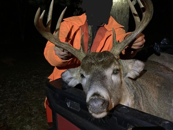 XXX Hwy 87/Bucklund Road, Grantsburg, WI 54840