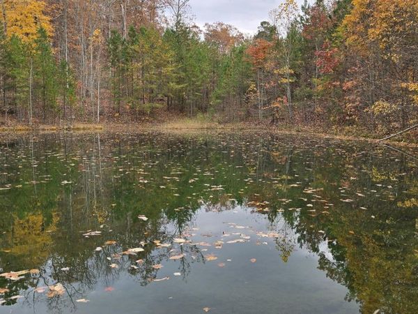 0 Bobcat Trail, Dunlap, TN 37327