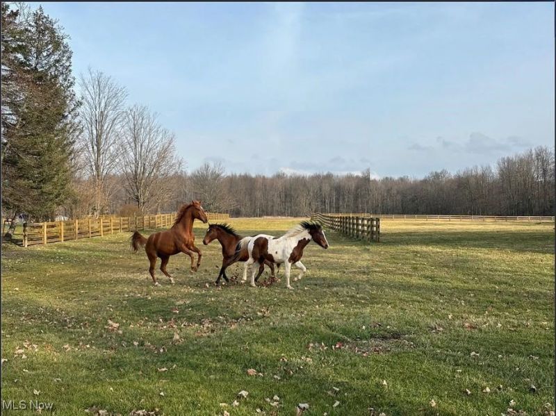 9300 N Main Street, Windham, OH 44288 Main Photo