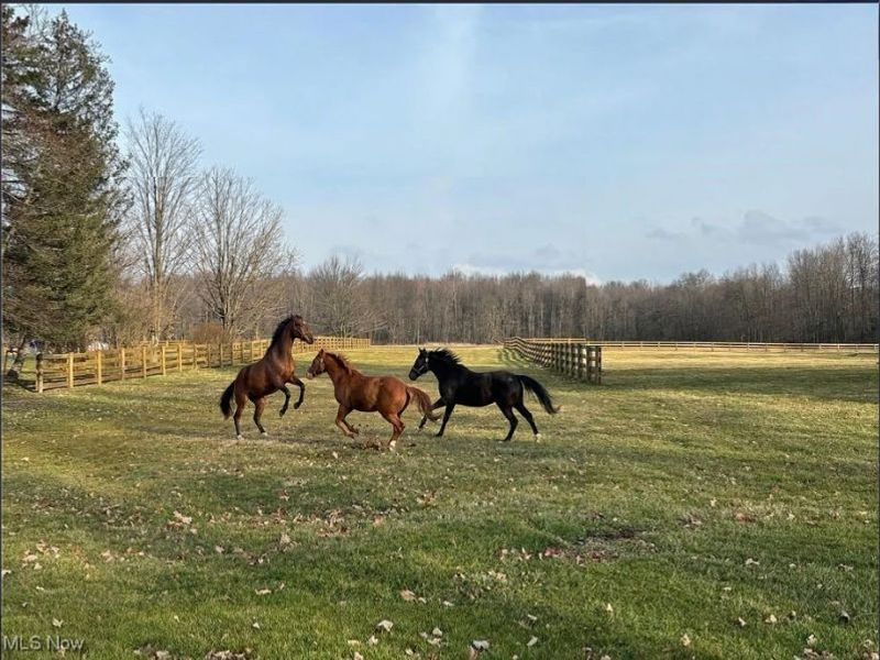 9300 N Main Street, Windham, OH 44288 Photo 14