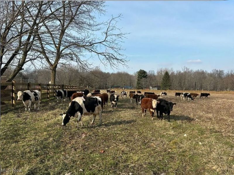 9300 N Main Street, Windham, OH 44288 Photo 2