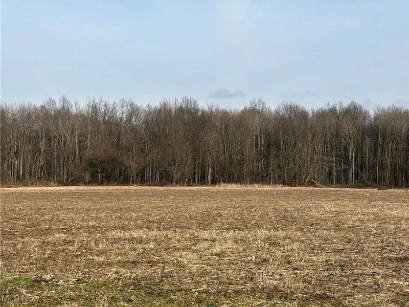 9300 N Main Street, Windham, OH 44288 Photo 8