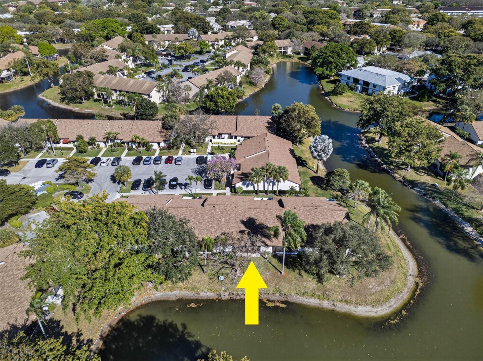 3304 Carambola Circle, Unit 3304, Coconut Creek, FL 33066 Photo