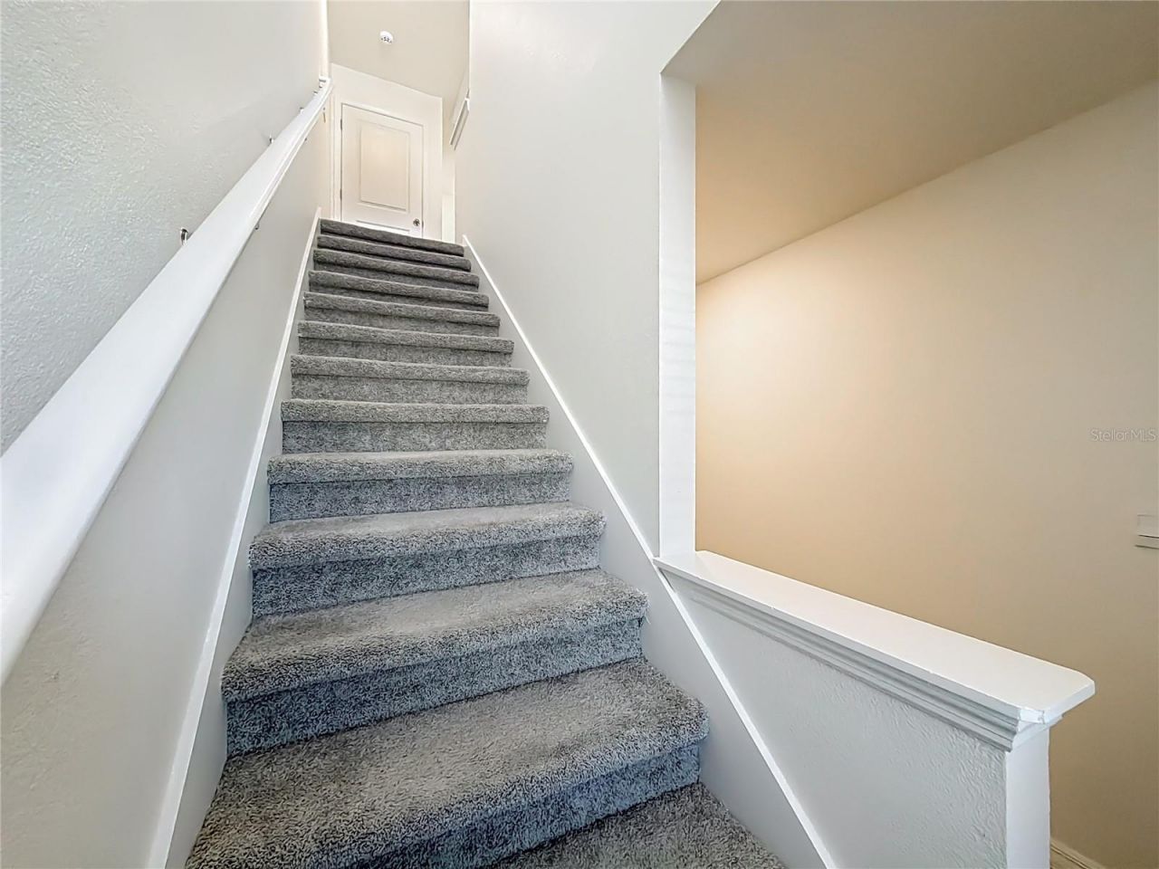 6687 SW 81st Loop, Ocala, FL 34476 Photo