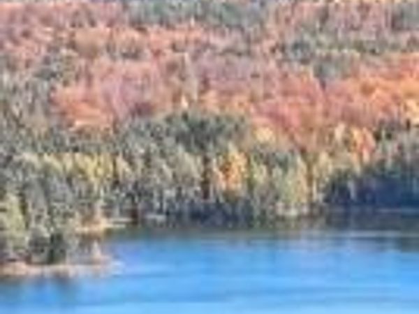 6336 SNIPE LAKE ROAD, Eagle River, WI 54521