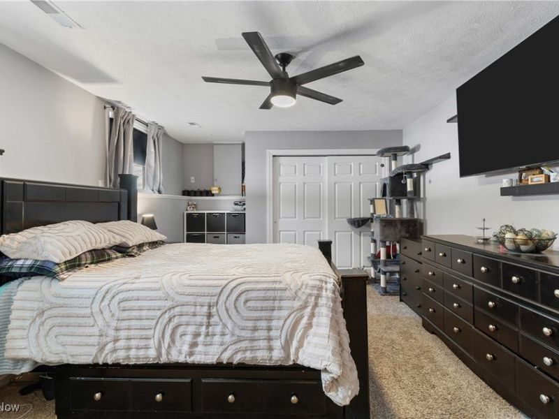 8101 Yoder Road, Seville, OH 44273 Photo 18