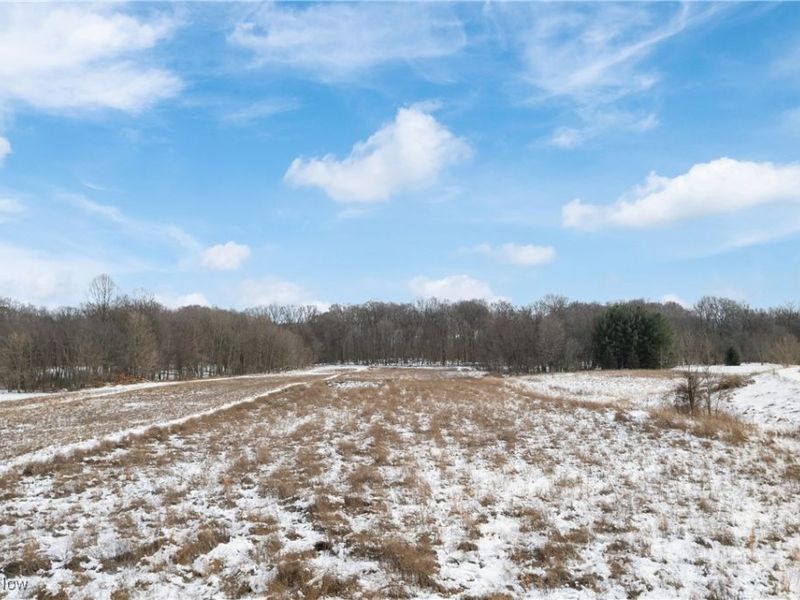 8101 Yoder Road, Seville, OH 44273 Photo 30