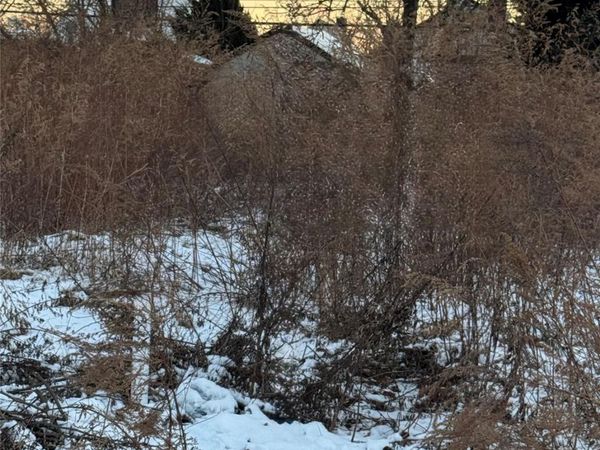 22510 113th Drive, Queens Village, NY 11429