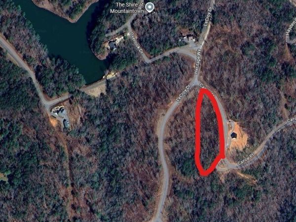 0 Canoe Point, Unit 175, Ellijay, GA 30540