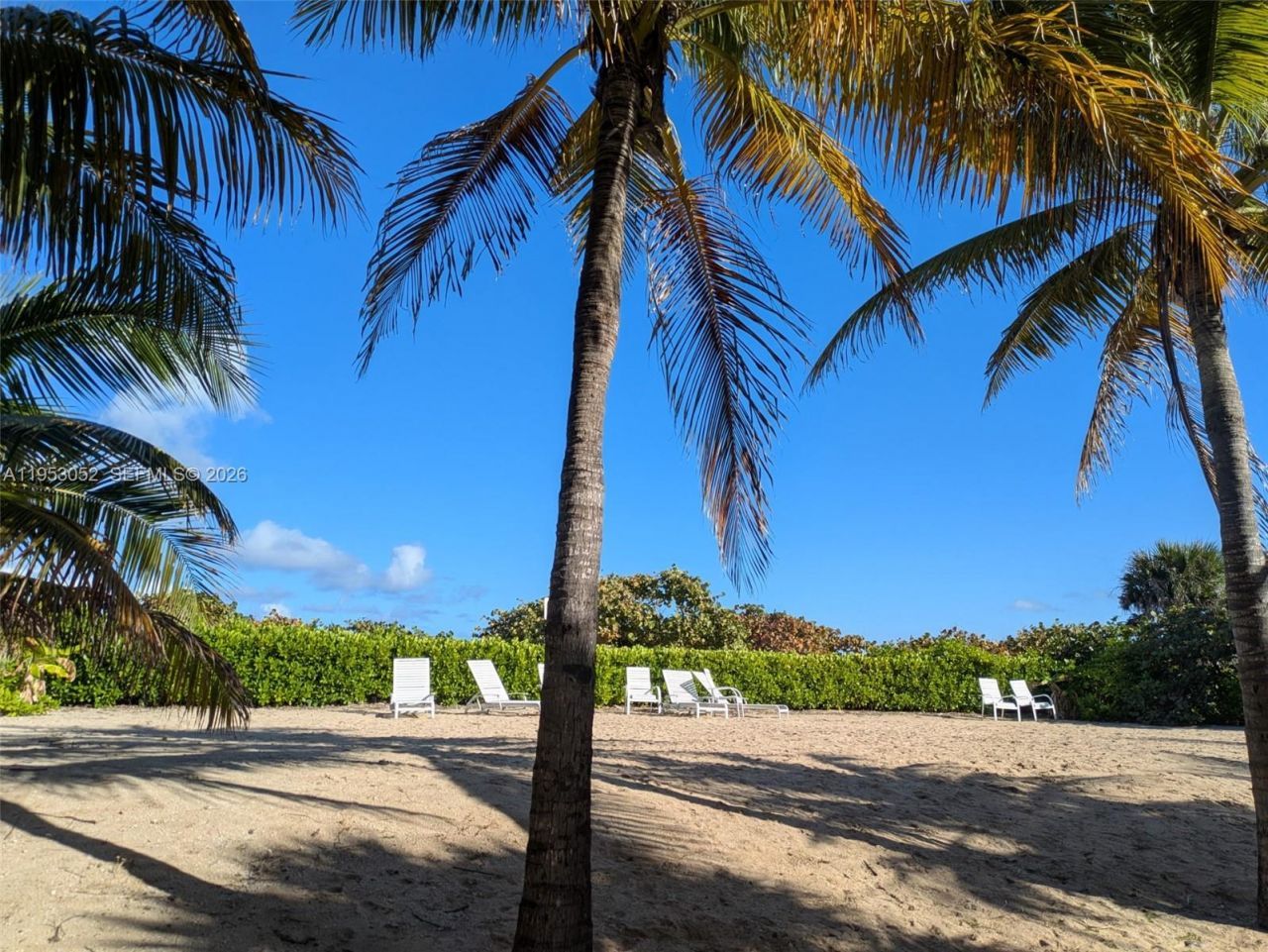 9341 Collins Ave, Unit 503, Surfside, FL 33154 Photo