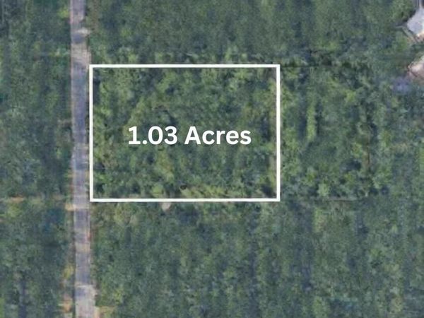 Tbd Union Avenue, Chesterton, IN 46304