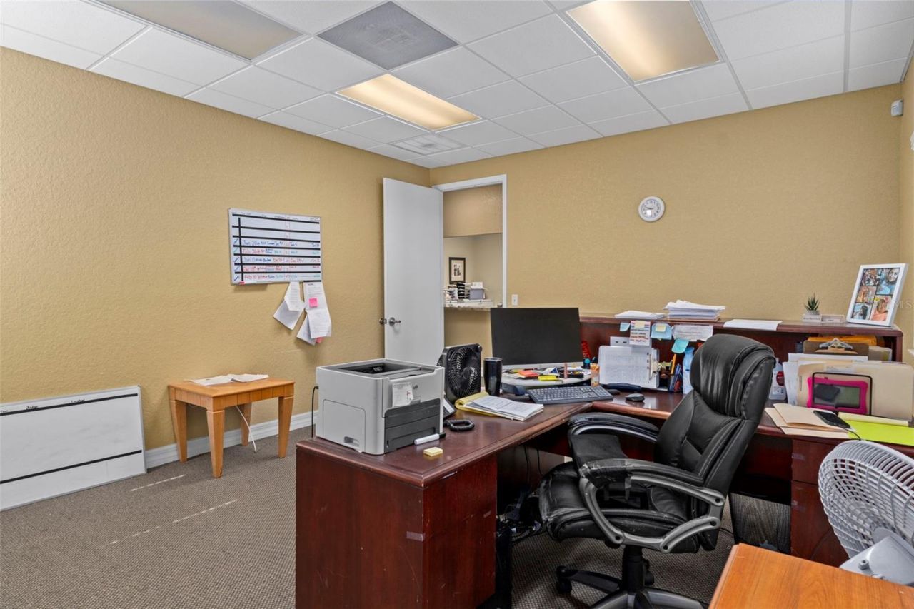 8352 Forest Oaks Boulevard, Spring Hill, FL 34606 Photo