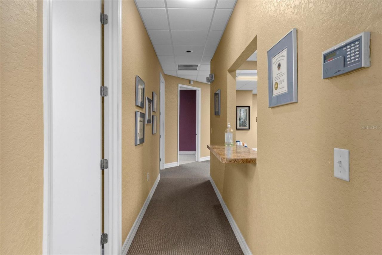 8352 Forest Oaks Boulevard, Spring Hill, FL 34606 Photo