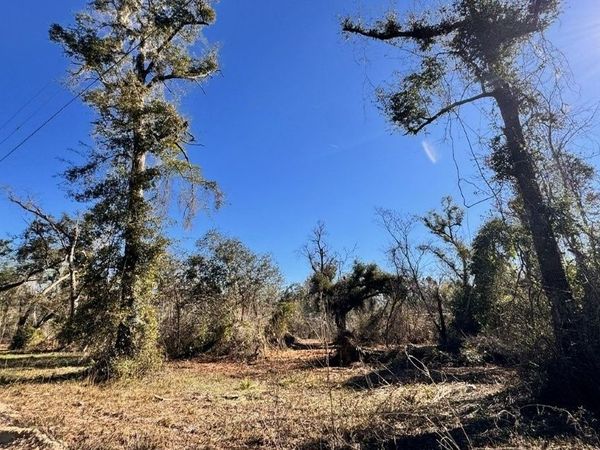 NE WITHLACOOCHEE CHIVE, Lee, FL 32059