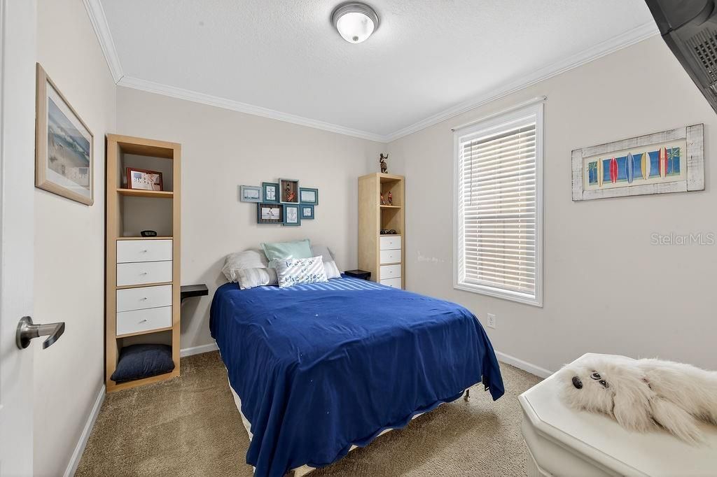 56320 Cherry Tree Road, Astor, FL 32102 Photo