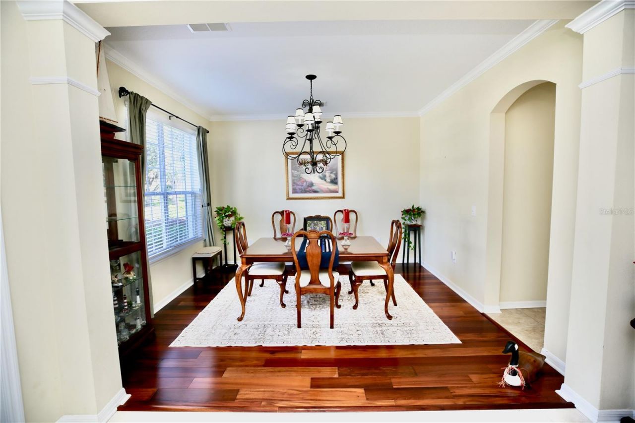 19822 Prince Benjamin Drive, Lutz, FL 33549 Photo