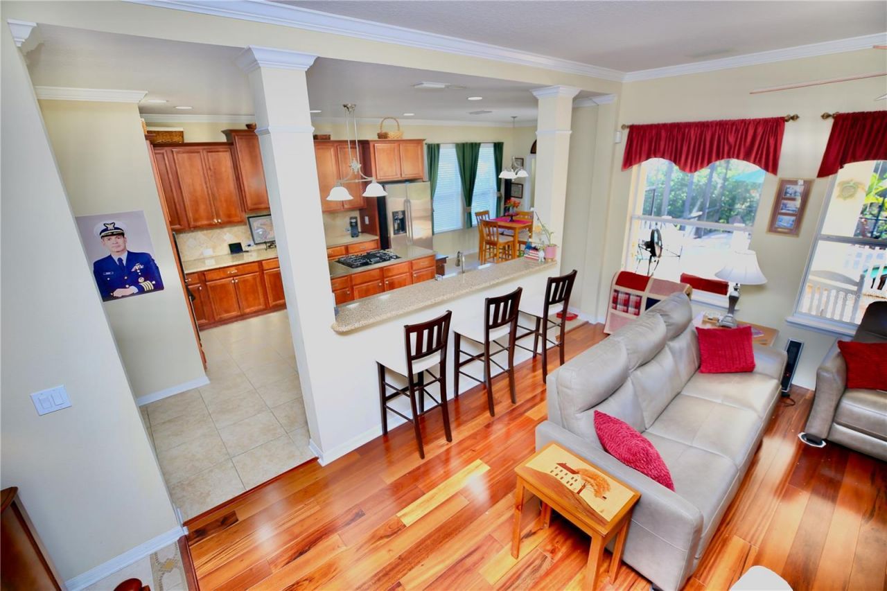 19822 Prince Benjamin Drive, Lutz, FL 33549 Photo