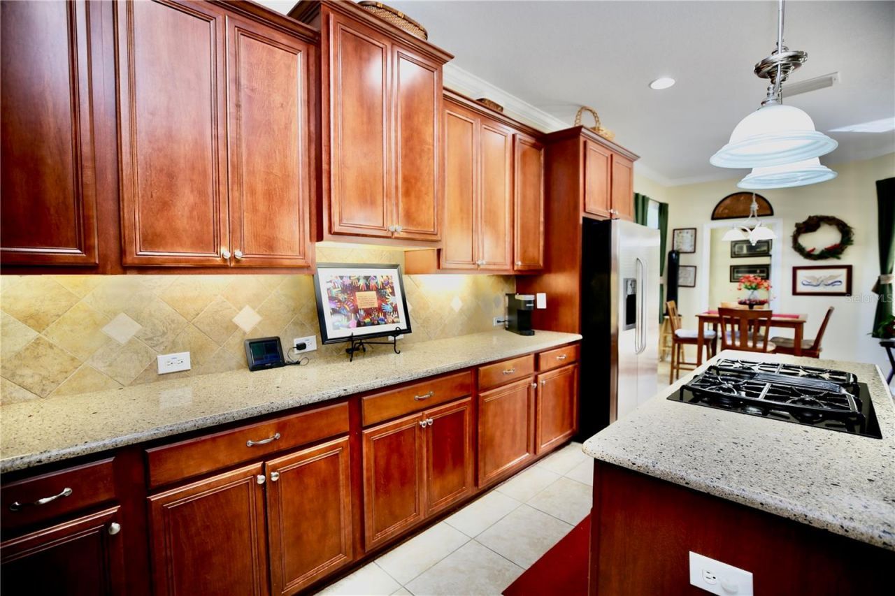 19822 Prince Benjamin Drive, Lutz, FL 33549 Photo