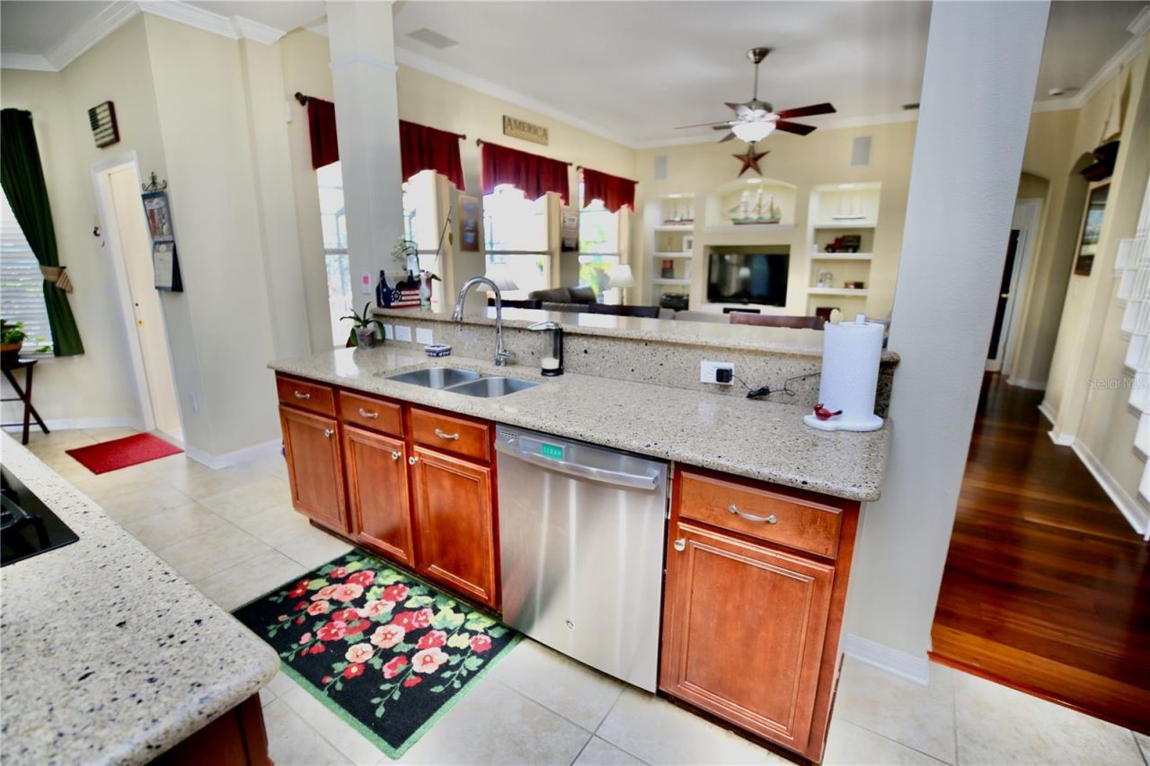 19822 Prince Benjamin Drive, Lutz, FL 33549 Photo