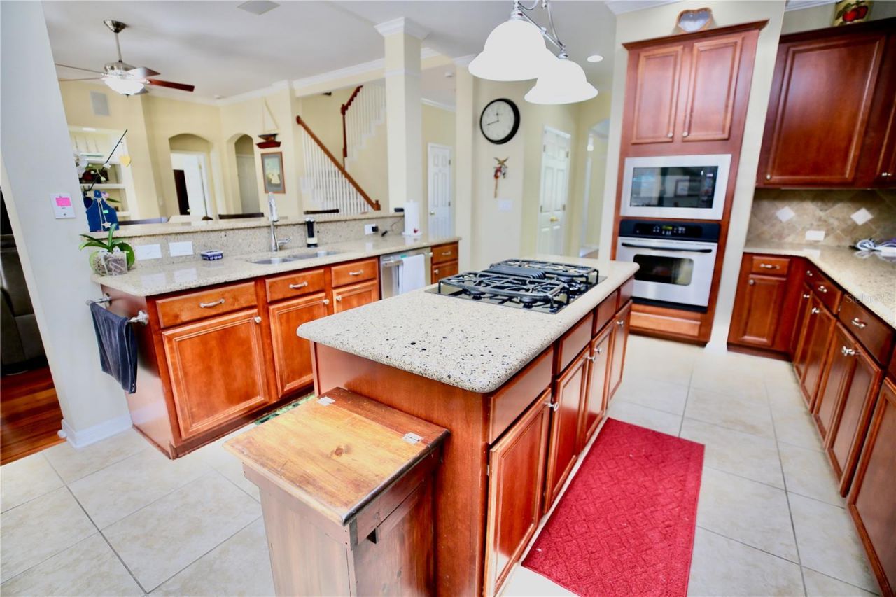 19822 Prince Benjamin Drive, Lutz, FL 33549 Photo