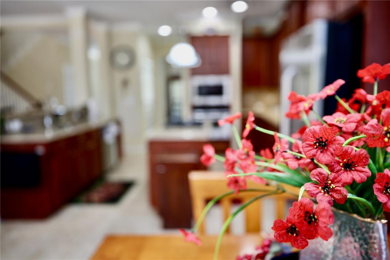 19822 Prince Benjamin Drive, Lutz, FL 33549 Photo