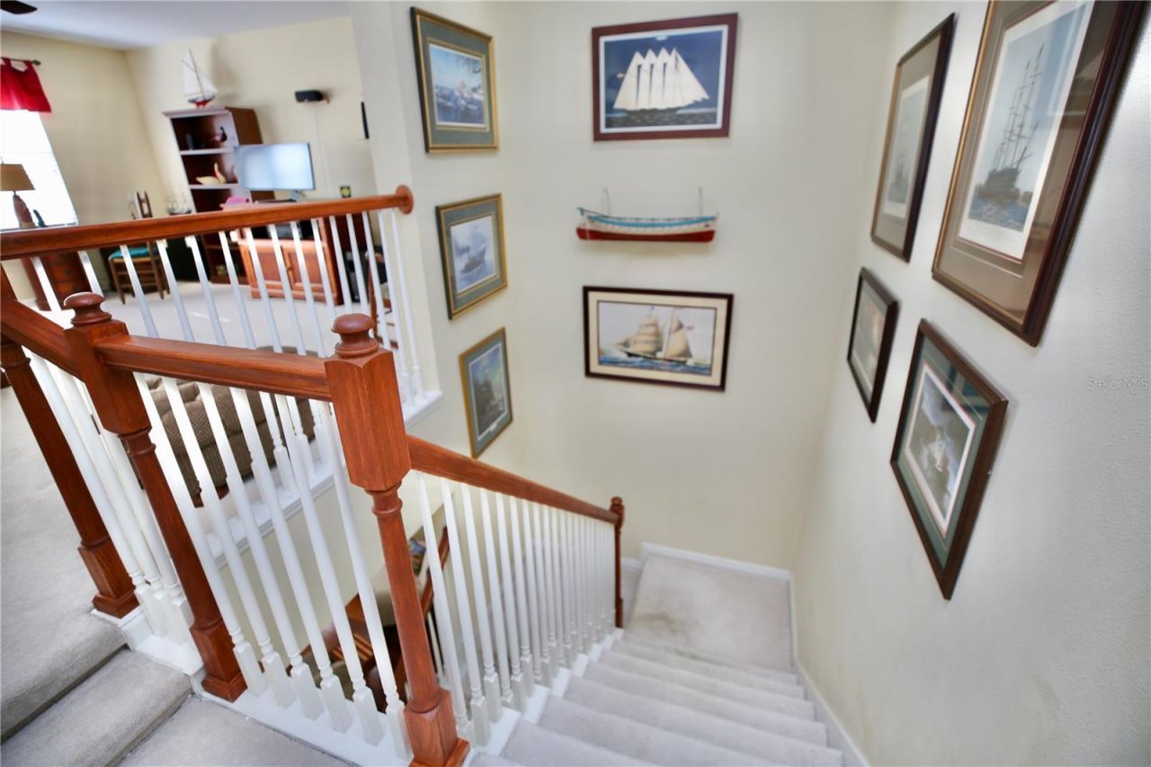 19822 Prince Benjamin Drive, Lutz, FL 33549 Photo