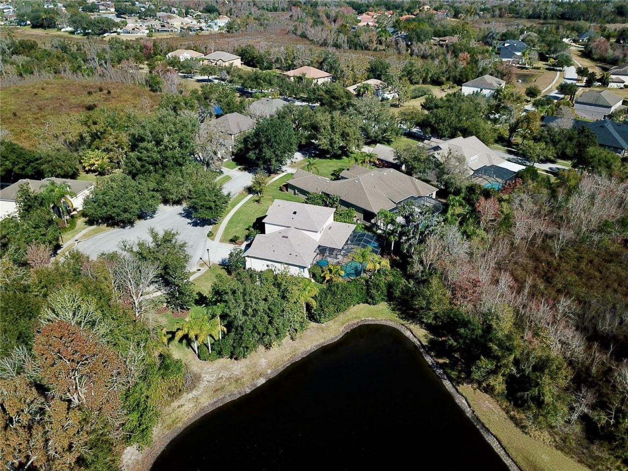 19822 Prince Benjamin Drive, Lutz, FL 33549 Photo