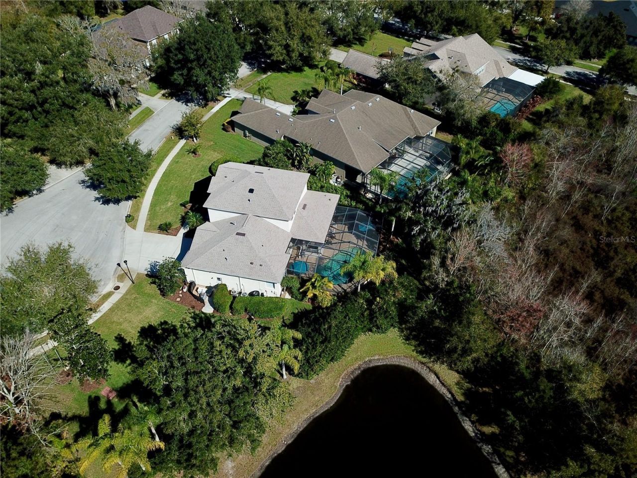 19822 Prince Benjamin Drive, Lutz, FL 33549 Photo