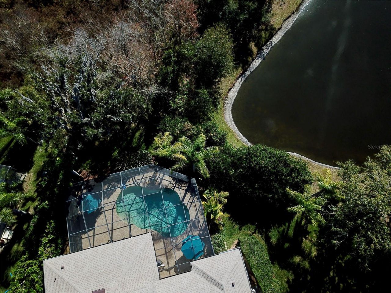 19822 Prince Benjamin Drive, Lutz, FL 33549 Photo