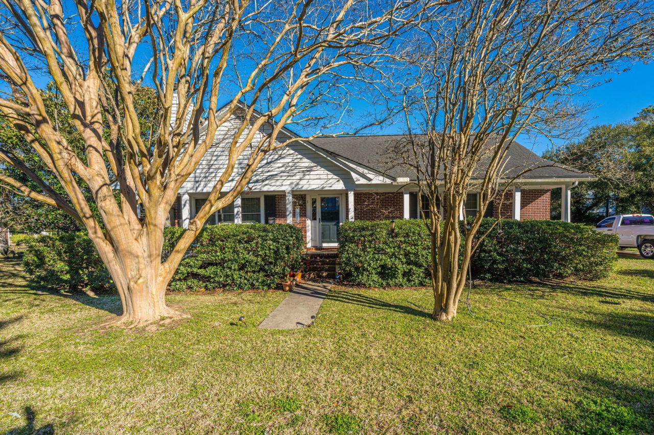 3 Florence Street Photo 5