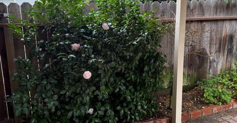 3350 Spring Garden Dr, Turlock, CA 95382 Photo