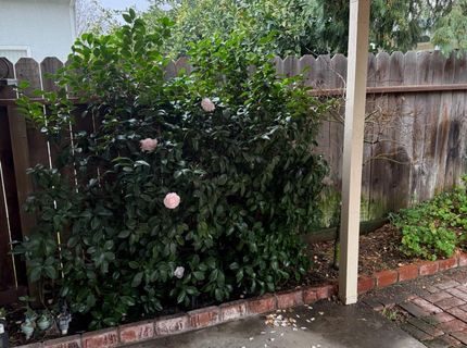 3350 Spring Garden Dr, Turlock, CA 95382 Photo