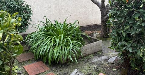 3350 Spring Garden Dr, Turlock, CA 95382 Photo