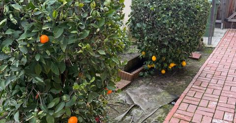 3350 Spring Garden Dr, Turlock, CA 95382 Photo