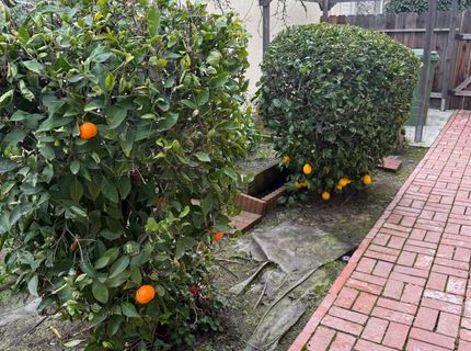 3350 Spring Garden Dr, Turlock, CA 95382 Photo