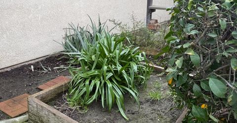 3350 Spring Garden Dr, Turlock, CA 95382 Photo