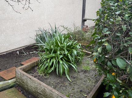 3350 Spring Garden Dr, Turlock, CA 95382 Photo