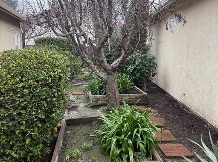 3350 Spring Garden Dr, Turlock, CA 95382 Photo