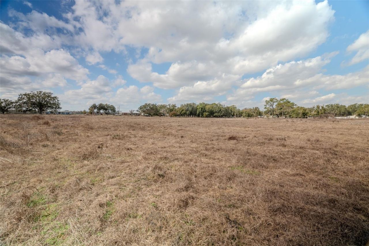 36630 Sunshine Road, Zephyrhills, FL 33541 Photo