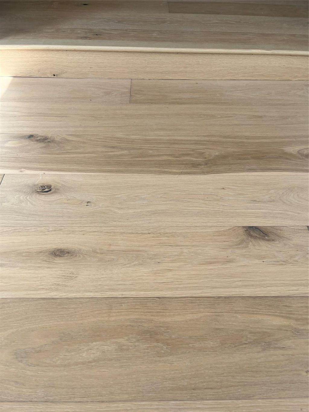 8801 N Miami Ave, El Portal, FL 33150 Photo