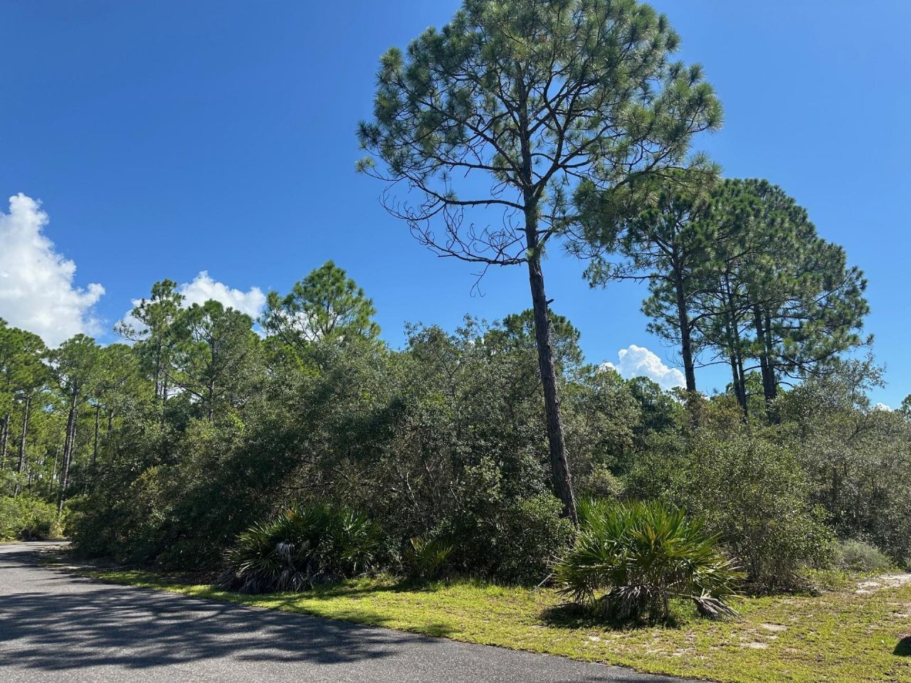 147 Winding Trail Way , Lot #Lot 388 - East, Saint Teresa, FL 32358 Photo