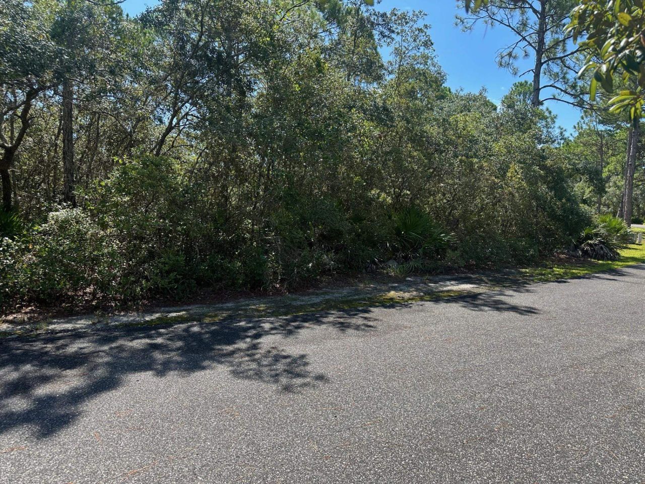147 Winding Trail Way , Lot #Lot 388 - East, Saint Teresa, FL 32358 Photo