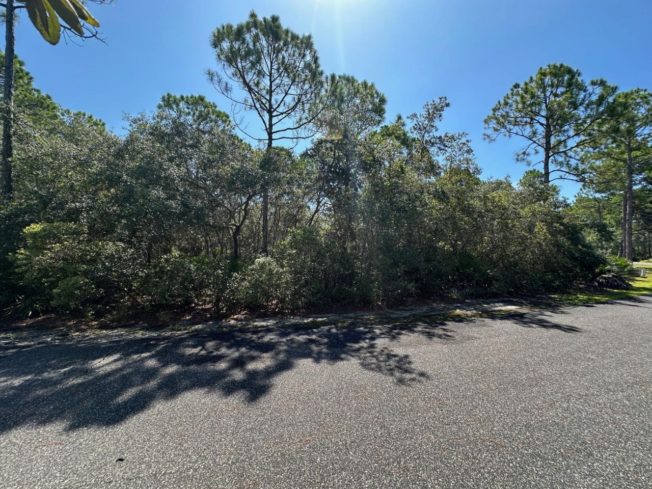 147 Winding Trail Way , Lot #Lot 388 - East, Saint Teresa, FL 32358 Photo