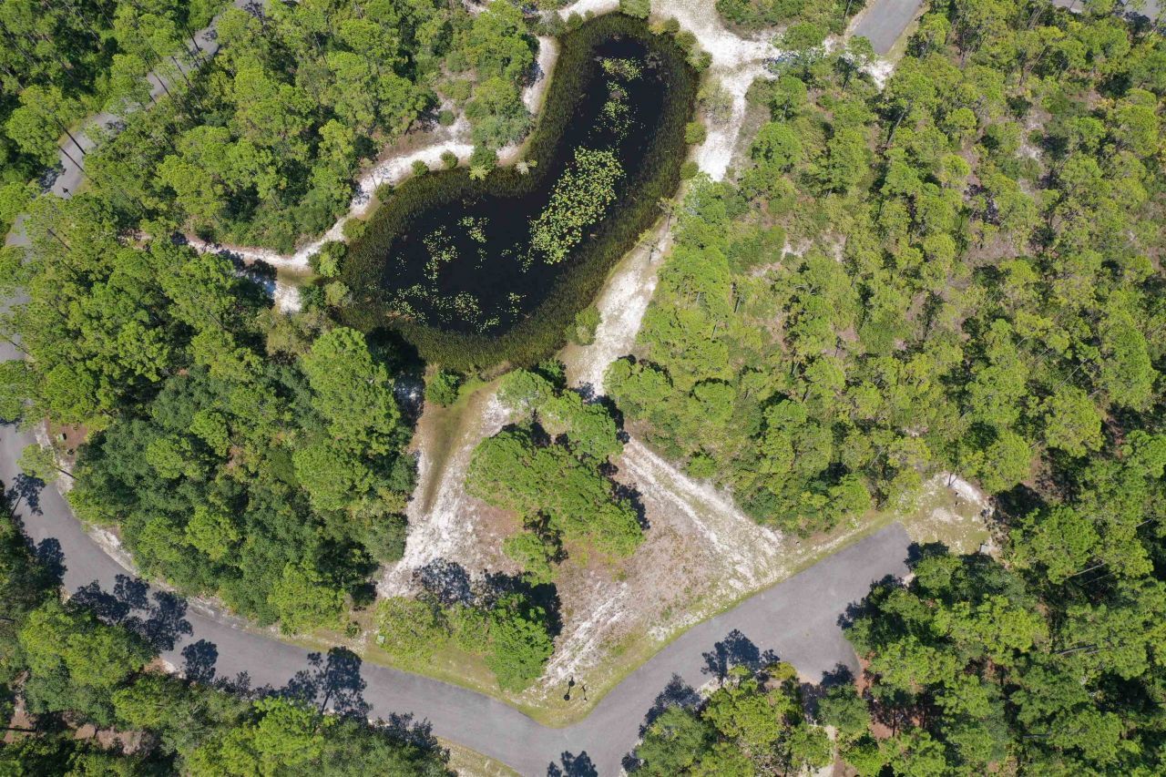 147 Winding Trail Way , Lot #Lot 388 - East, Saint Teresa, FL 32358 Photo