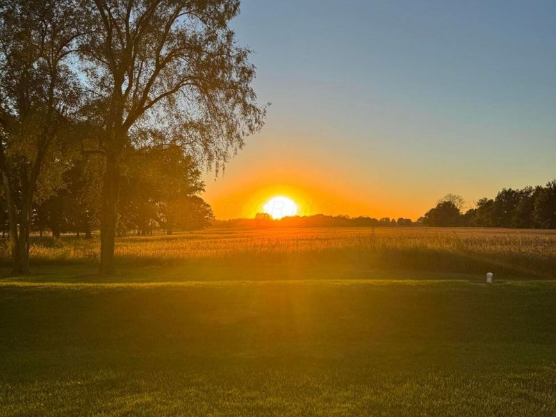 17748 Cherokee Street, Harpster, OH 43323 Photo 82