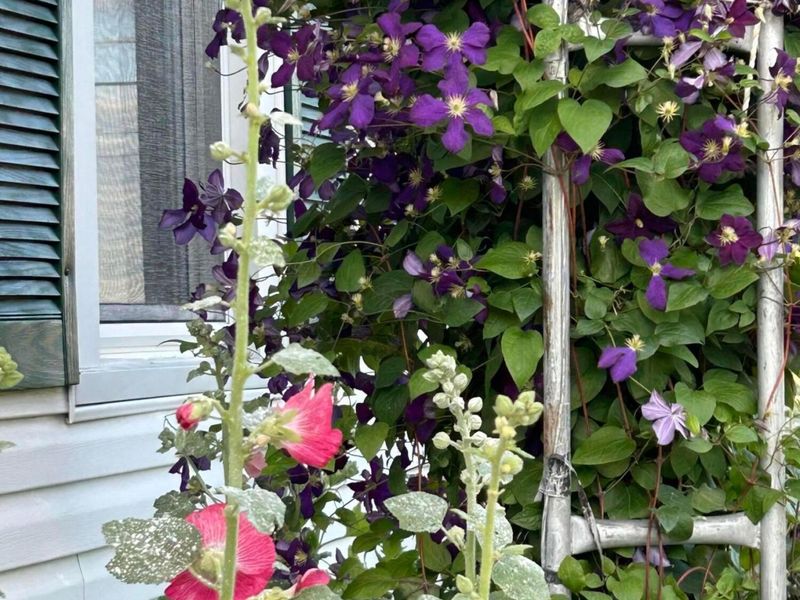 17748 Cherokee Street, Harpster, OH 43323 Photo 83