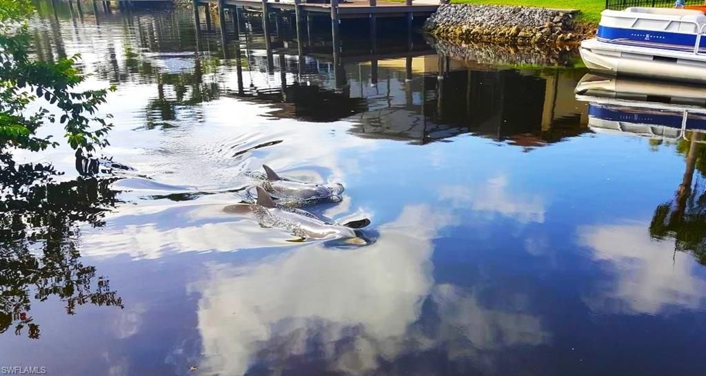 5471 Harborage Dr, Fort Myers, FL 33908 Photo