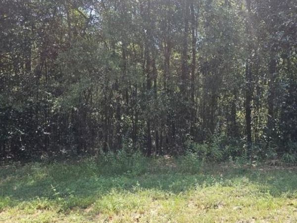 0 Mill House Drive S, Mobile, AL 36619